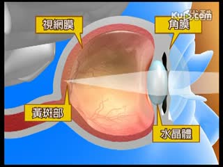惠氏 一号店 惠氏奶粉宝宝爱喝