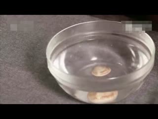 好吃又简单的蛤蜊蒸蛋做法