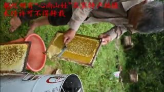 农村的土蜂蜜