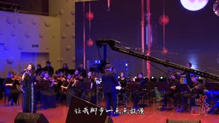 梦苇-《遇见你是最美的意外》