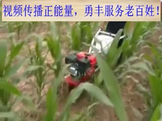 男女老少都会用的勇丰玉米施肥机