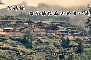 心灵的回归 —— 百慕三石《白仙鹤》山寨文艺青年的信仰之歌