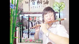 我的视频