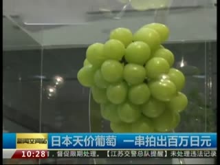 日本天价葡萄 一串拍出百万日元