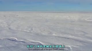 5种比你更会过冬的野生动物