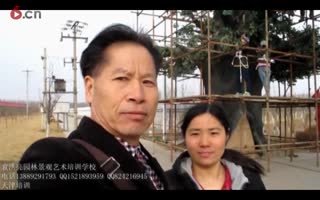 水泥雕塑假树---袁洪亮景观艺术培训学校制片