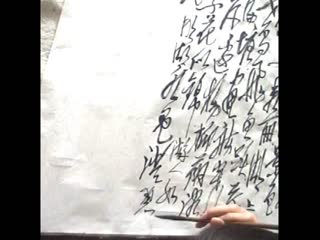 黄东雷草书创作《大明湖》.wmv