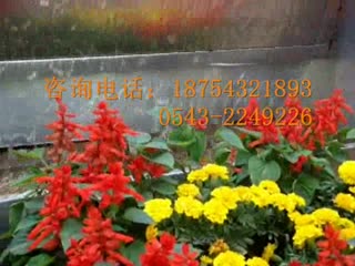 【视频】大型不锈钢餐桌椅厂家批发生产销售