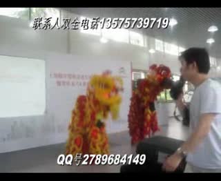 杭州炫酷舞狮子吉祥表演动感舞狮子演出     表演精彩