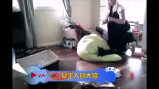 “love德麦”商城服务强大 专业值得信任