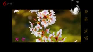 守望心与心的约定--紫薇--演唱